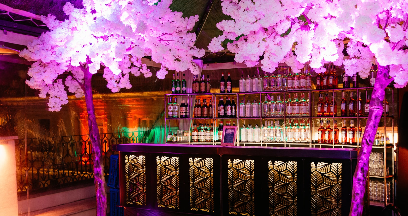 Bar | Wow Event